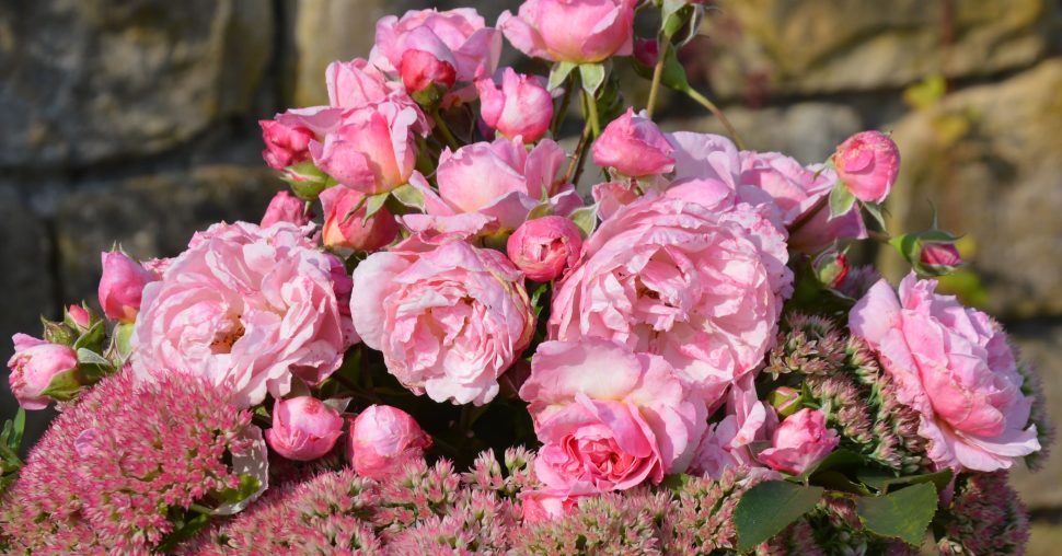 Exposition Femmes et roses d’exception à Luxembourg : une roseraie en hommage aux femmes inspirantes