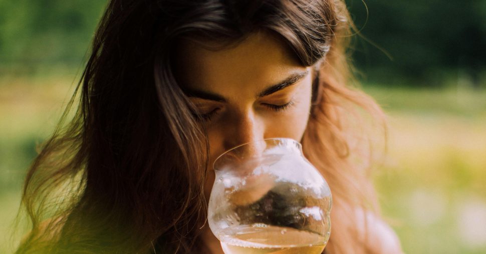 Vins et Crémants de la Moselle : des domaines viticoles d’exception au Luxembourg