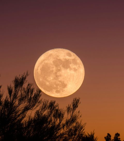 Nouvelle Lune, Pleine Lune : quel est l’impact de la Lune en novembre 2025 ?