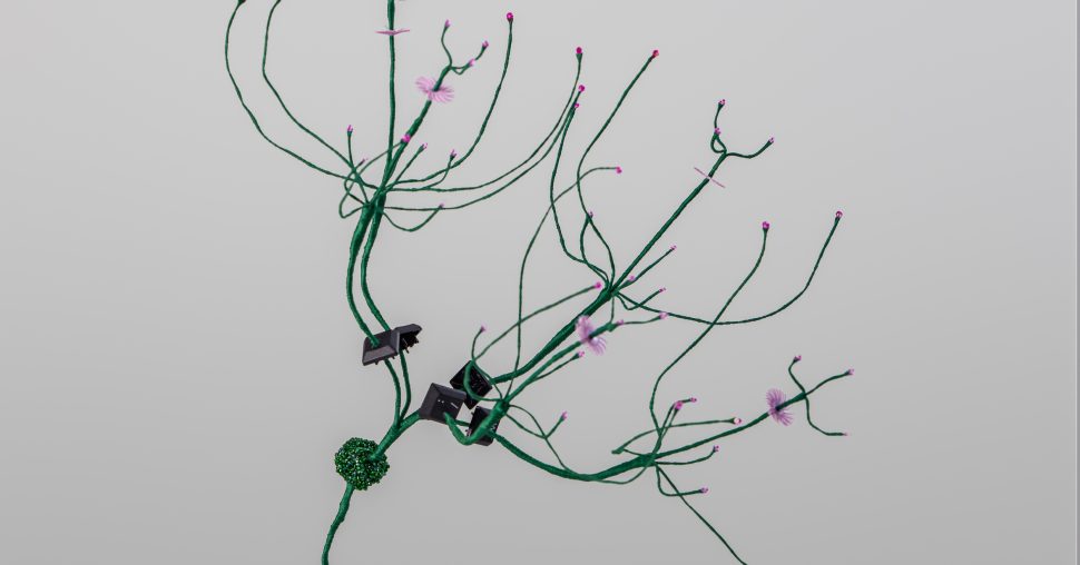 De Mains de Maîtres : que nous réserve l’édition 2025 ?