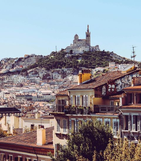 Marseille : les adresses qui ont du chien (et du caractère)