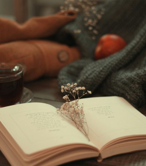 Romance : les 10 meilleurs livres pour se glisser sous son plaid cet automne